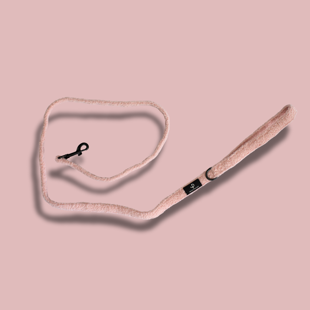 Teddy Bear Harness Set - Pink