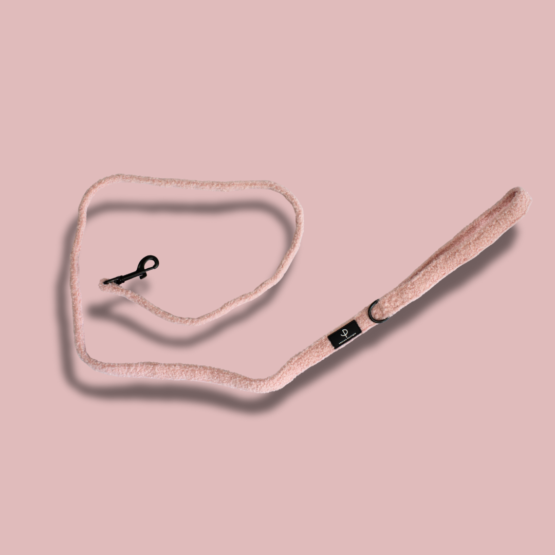 Teddy Bear Harness Set - Pink