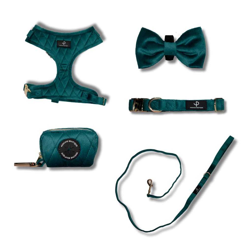 Velvet Harness Set - Ivy