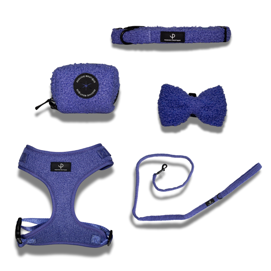Teddy Bear Harness Set - Purple
