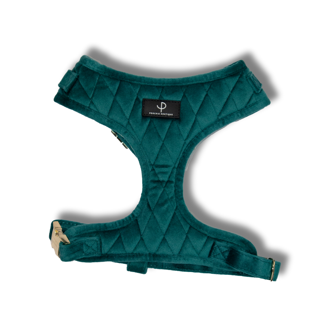 Velvet Harness Set - Ivy