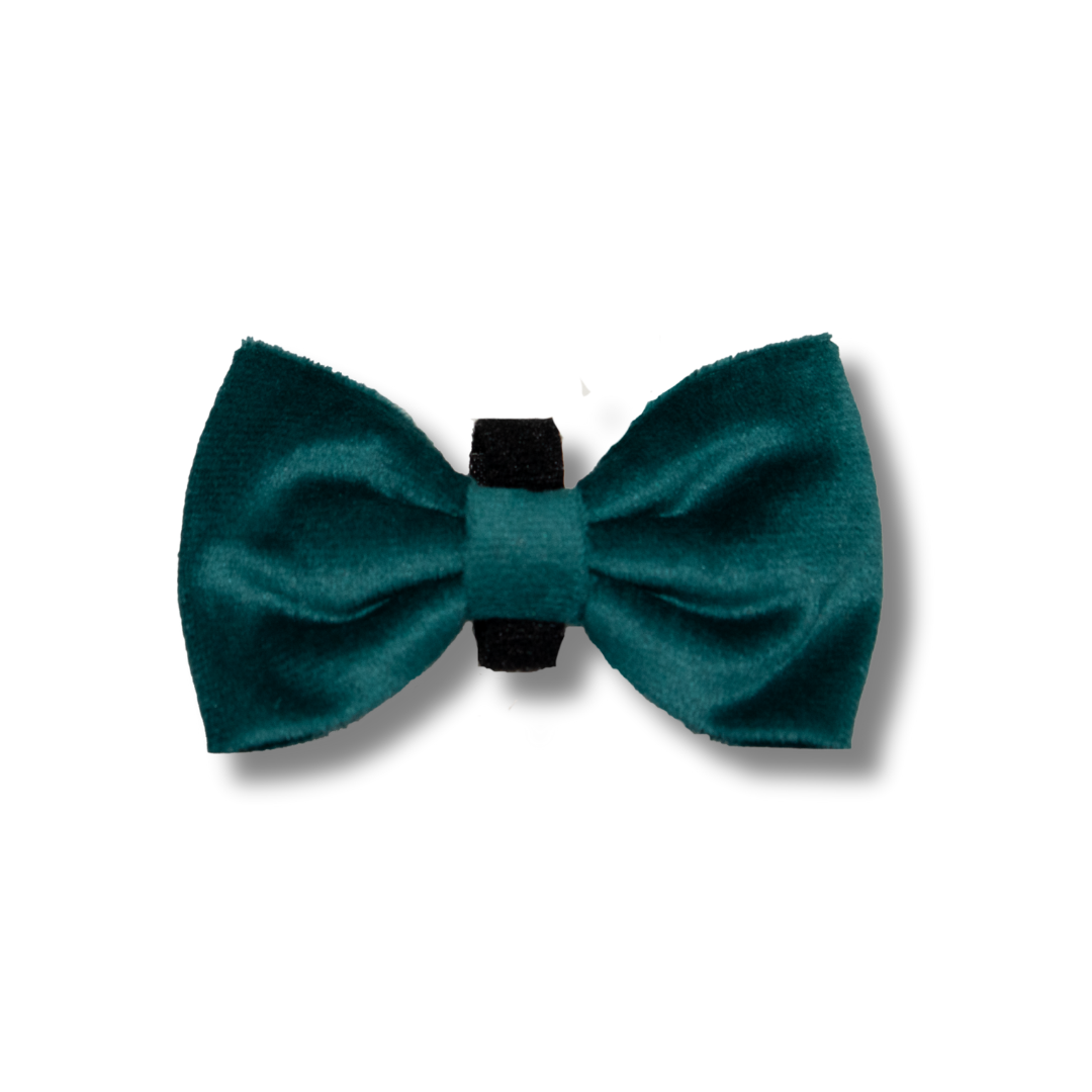 Velvet Harness Set - Ivy