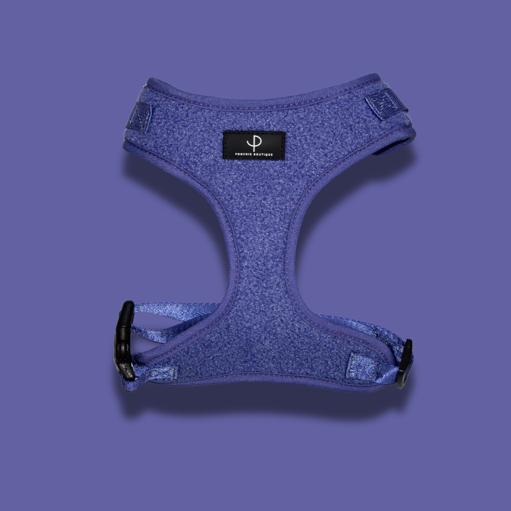 Teddy Bear Harness Set - Purple
