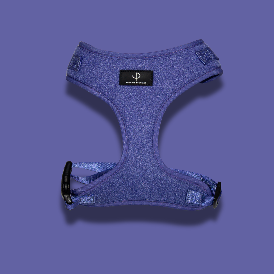 Teddy Bear Harness Set - Purple