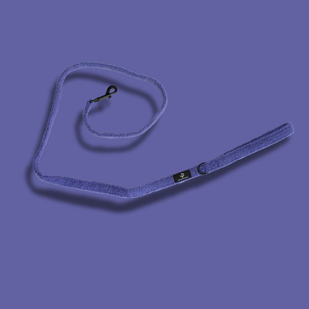 Teddy Bear Harness Set - Purple