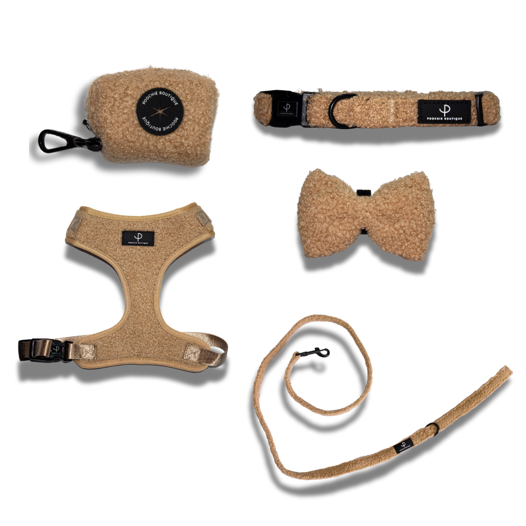Teddy Bear Harness Set - Brown