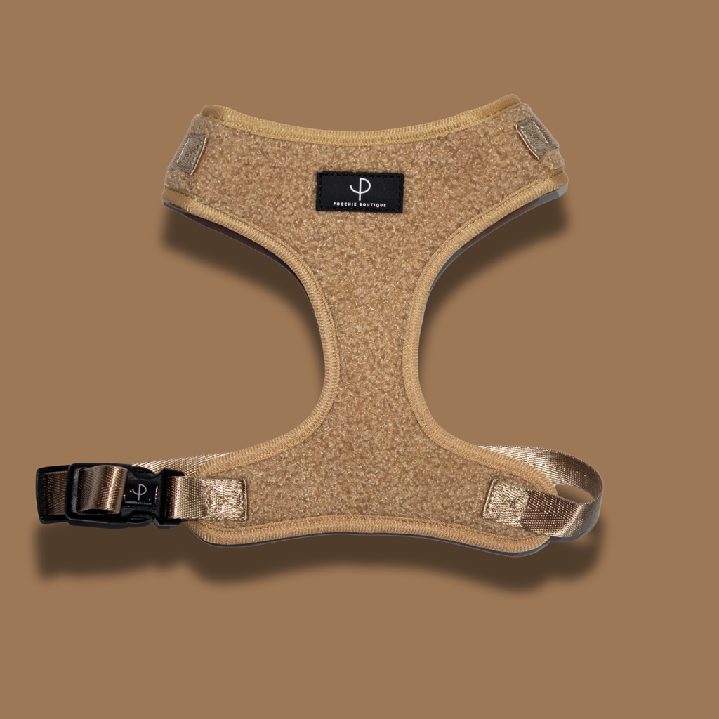 Teddy Bear Harness Set - Brown