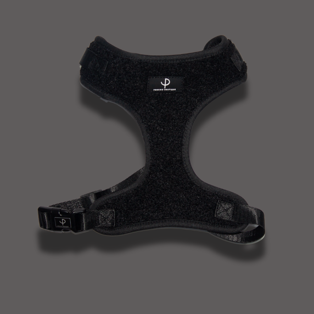 Teddy Bear Harness Set -  Black