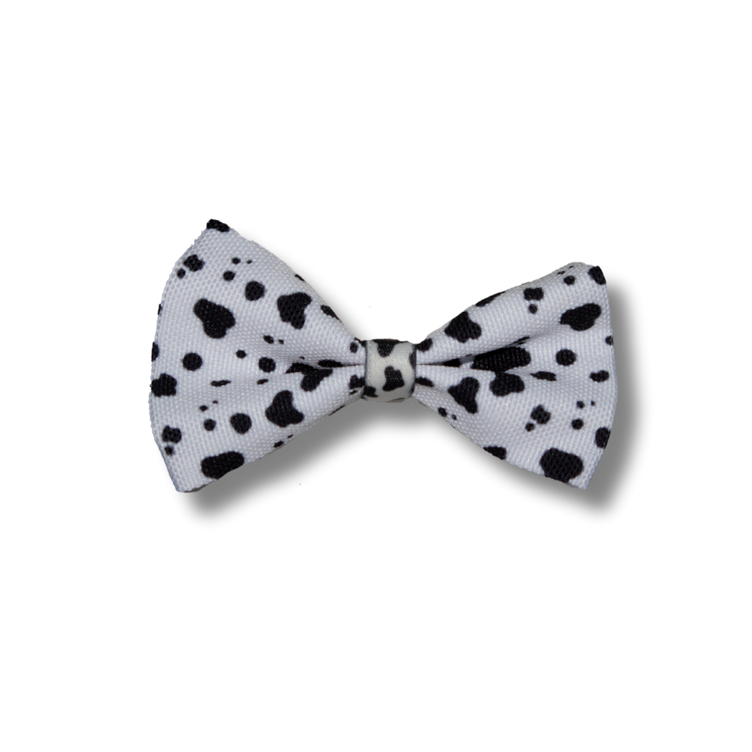Dapper