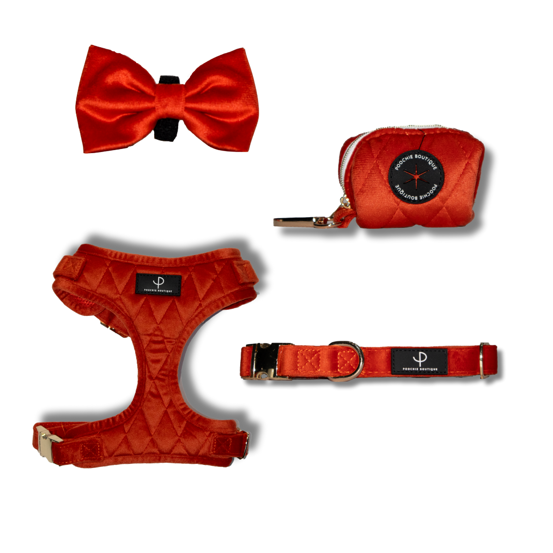Velvet Harness Set - Winter Clementine