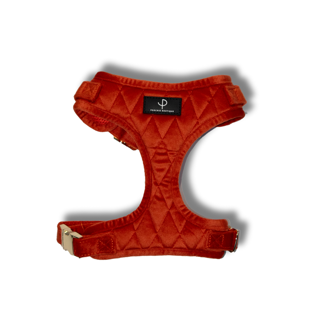 Velvet Harness Set - Winter Clementine
