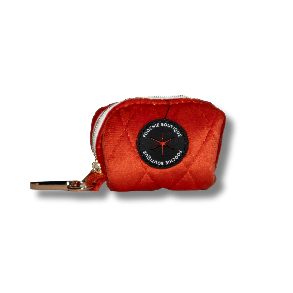 Velvet Harness Set - Winter Clementine