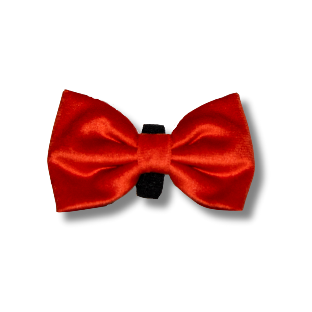 Velvet Harness Set - Winter Clementine