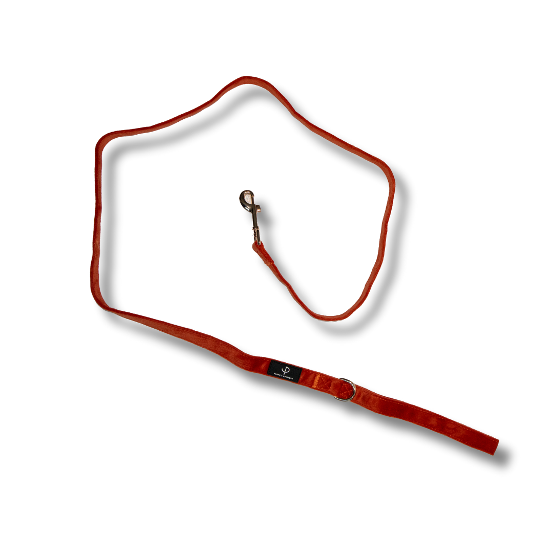 Velvet Harness Set - Winter Clementine