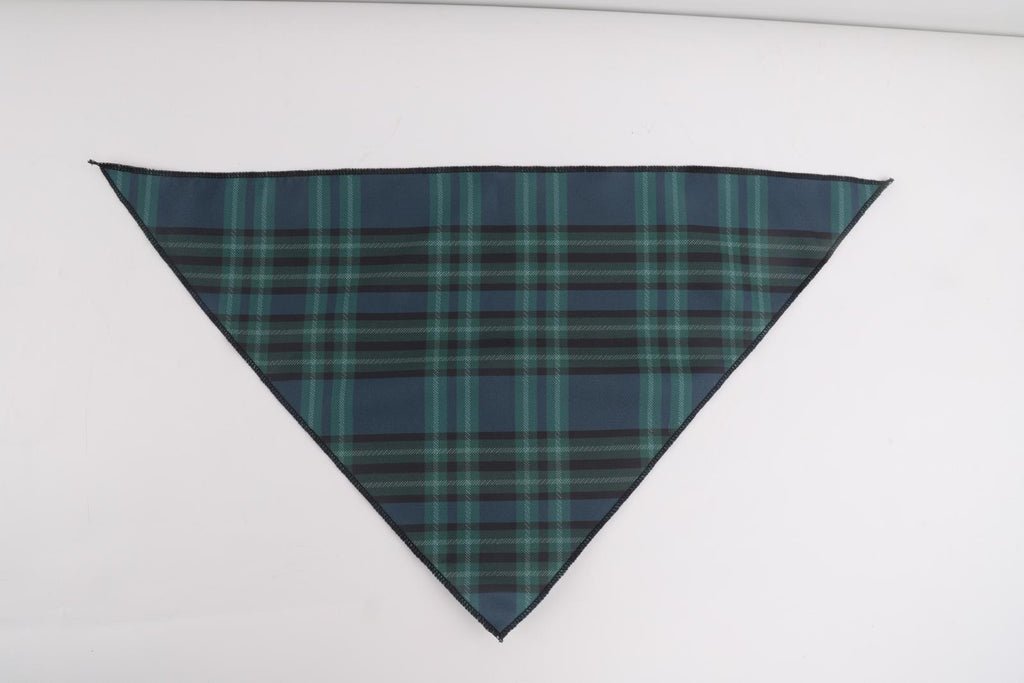 Signature Plaid Set -Green